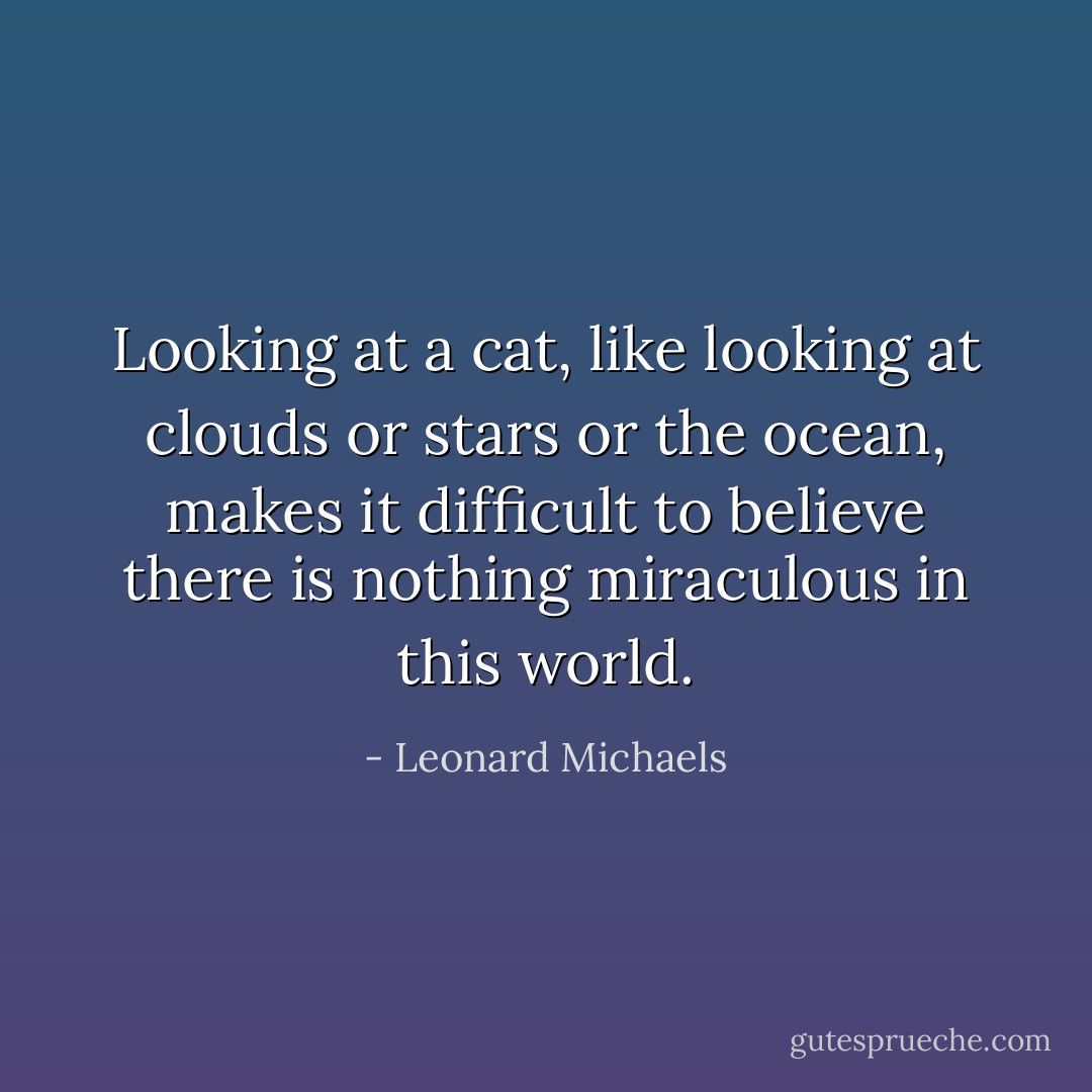 Looking at a cat, like looking at clouds or stars or the ocean, makes it difficult to believe there is nothing miraculous in this world. - Leonard Michaels