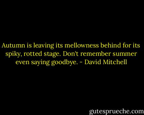 Autumn is leaving its mellowness behind for its spiky, rotted stage. Don't remember summer even saying goodbye. - David Mitchell