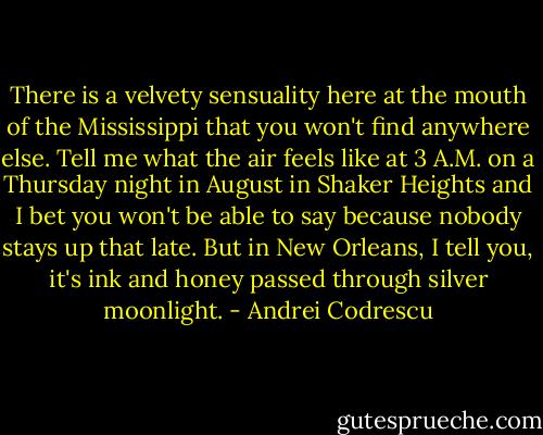 There is a velvety sensuality here at the mouth of the Mississippi that you won't find anywhere else. Tell me what the air feels like at 3 A.M. on a Thursday night in August in Shaker Heights and I bet you won't be able to say because nobody stays up that late. But in New Orleans, I tell you, it's ink and honey passed through silver moonlight. - Andrei Codrescu
