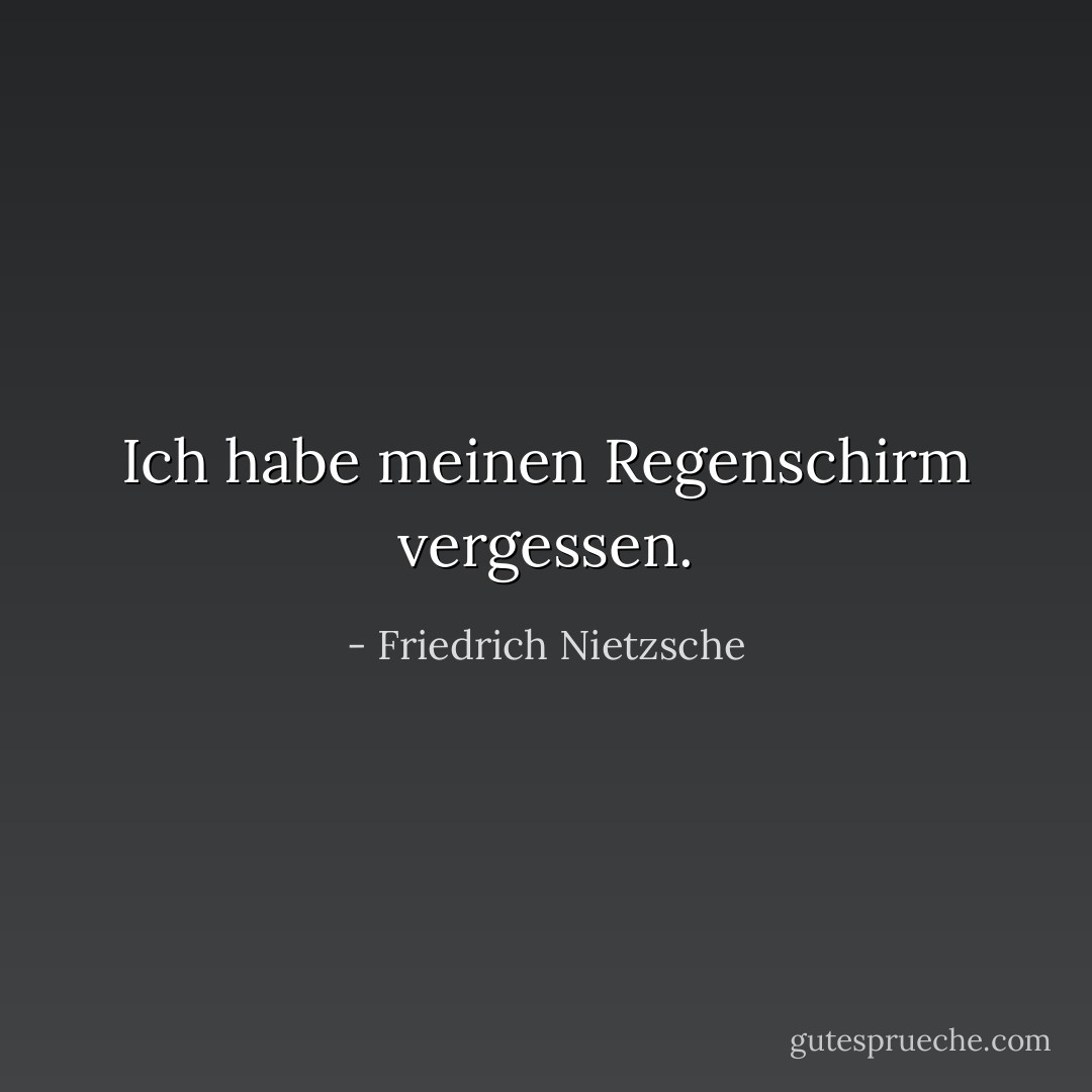 Ich habe meinen Regenschirm vergessen. - Friedrich Nietzsche<