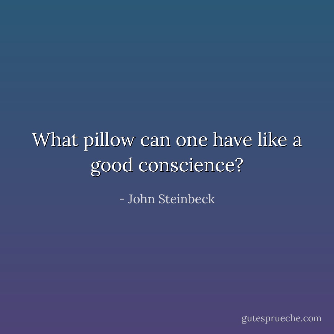 What pillow can one have like a good conscience? - John Steinbeck