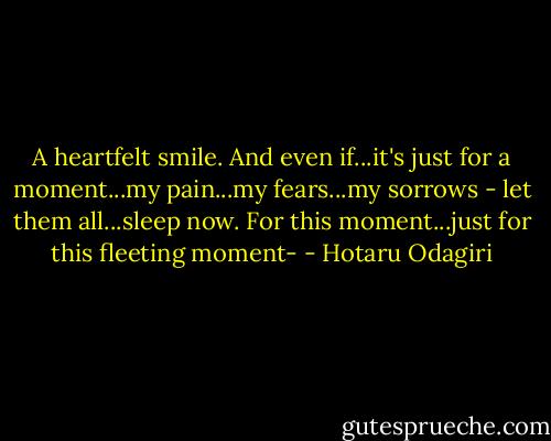 A heartfelt smile. And even if...it's just for a moment...my pain...my fears...my sorrows - let them all...sleep now. For this moment...just for this fleeting moment- - Hotaru Odagiri