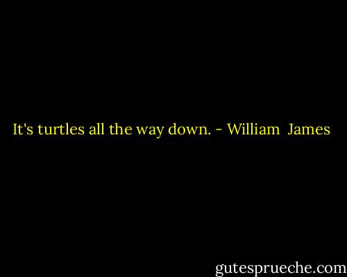 It's turtles all the way down. - William  James