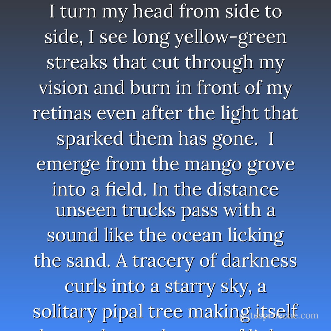 I walk in the direction she tells me. I feel my pores opening, sweat and heat radiating out of my body. A firefly dances in the distance, leaving tracers, and if I turn my head from side to side, I see long yellow-green streaks that cut through my vision and burn in front of my retinas even after the light that sparked them has gone.<br /><br />I emerge from the mango grove into a field. In the distance unseen trucks pass with a sound like the ocean licking the sand. A tracery of darkness curls into a starry sky, a solitary pipal tree making itself known by an absence of light, like a flame caught in a photographer's negative, frozen, calling me. - Mohsin Hamid
