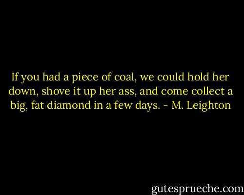 If you had a piece of coal, we could hold her down, shove it up her ass, and come collect a big, fat diamond in a few days. - M. Leighton