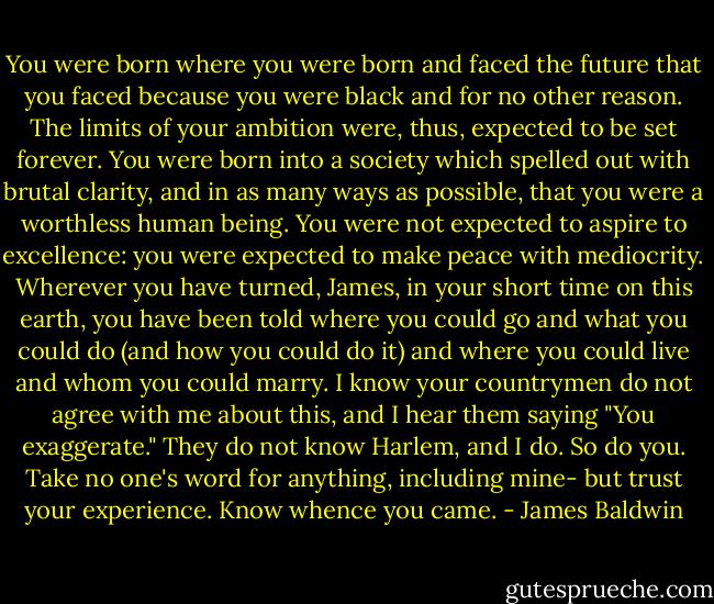 You were born where you were born and faced the future that you faced because you were black and for no other reason. The limits of your ambition were, thus, expected to be set forever. You were born into a society which spelled out with brutal clarity, and in as many ways as possible, that you were a worthless human being. You were not expected to aspire to excellence: you were expected to make peace with mediocrity. Wherever you have turned, James, in your short time on this earth, you have been told where you could go and what you could do (and how you could do it) and where you could live and whom you could marry. I know your countrymen do not agree with me about this, and I hear them saying "You exaggerate." They do not know Harlem, and I do. So do you. Take no one's word for anything, including mine- but trust your experience. Know whence you came. - James Baldwin