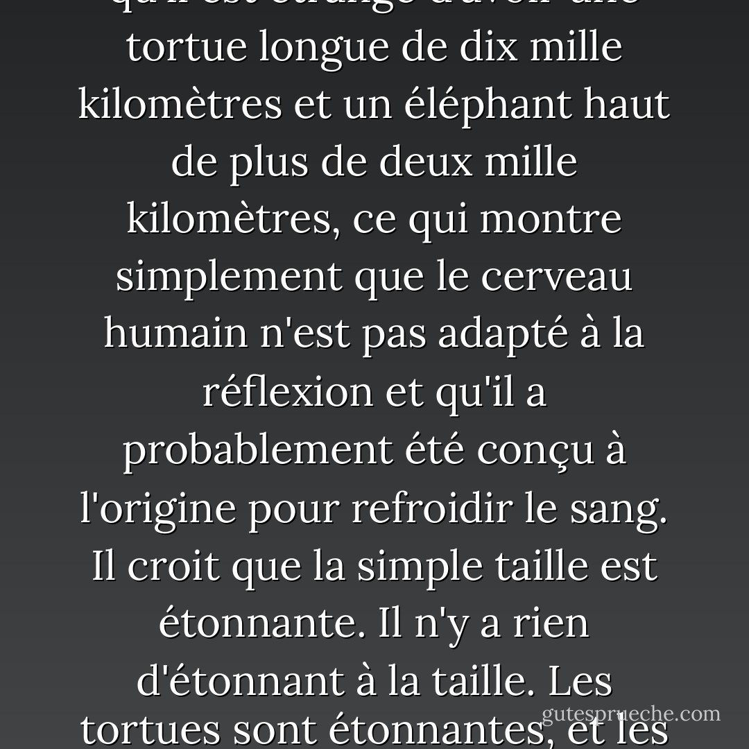 Le <i>lieu</i> où l'histoire s'est déroulée était un monde situé sur le dos de quatre éléphants perchés sur la carapace d'une tortue géante. C'est l'avantage de l'espace. Les gens pensent qu'il est étrange d'avoir une tortue longue de dix mille kilomètres et un éléphant haut de plus de deux mille kilomètres, ce qui montre simplement que le cerveau humain n'est pas adapté à la réflexion et qu'il a probablement été conçu à l'origine pour refroidir le sang. Il croit que la simple taille est étonnante.<br />Il n'y a rien d'étonnant à la taille. Les tortues sont étonnantes, et les éléphants sont tout à fait étonnants. Mais le fait qu'il y ait une grosse tortue est bien moins étonnant que le fait qu'il y ait une tortue <i>partout</i>. - Terry Pratchett