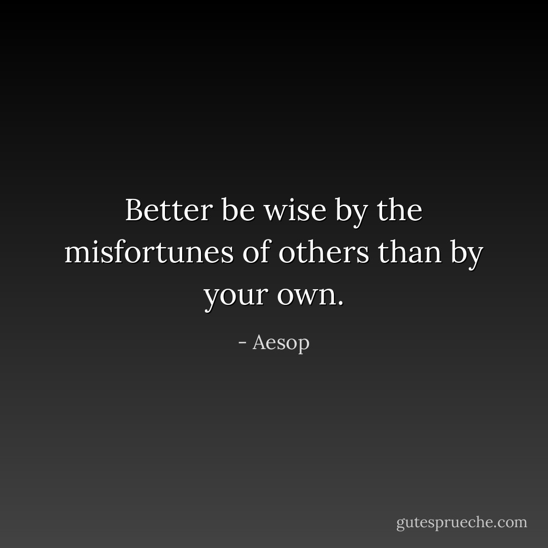 Better be wise by the misfortunes of others than by your own. - Aesop