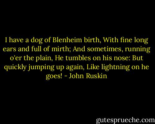 I have a dog of Blenheim birth,<br />With fine long ears and full of mirth;<br />And sometimes, running o'er the plain,<br />He tumbles on his nose:<br />But quickly jumping up again,<br />Like lightning on he goes! - John Ruskin