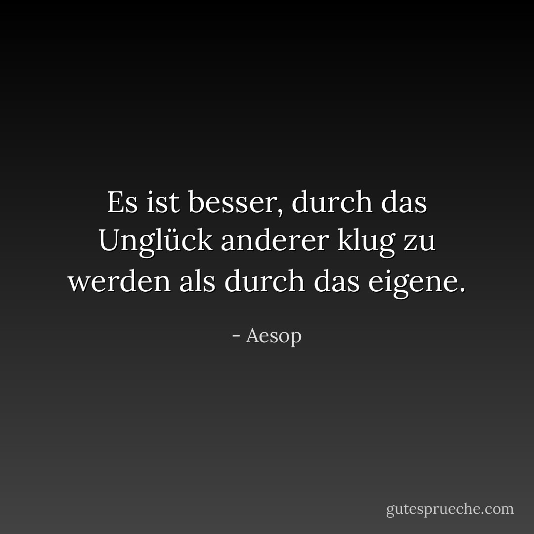 Es ist besser, durch das Unglück anderer klug zu werden als durch das eigene. - Aesop<