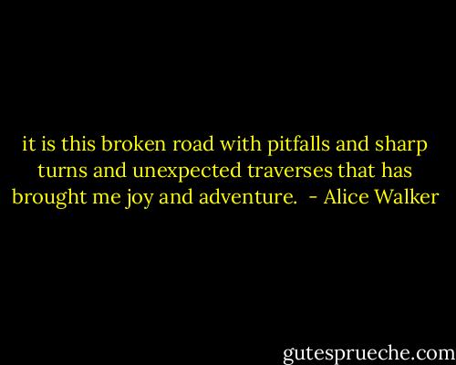 it is this broken road with pitfalls and sharp turns and unexpected traverses that has brought me joy and adventure.  - Alice Walker