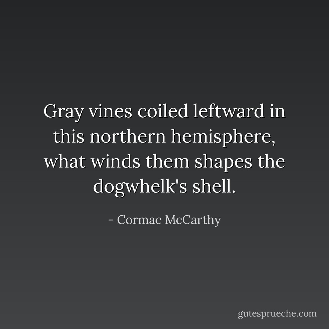 Gray vines coiled leftward in this northern hemisphere, what winds them shapes the dogwhelk's shell. - Cormac McCarthy