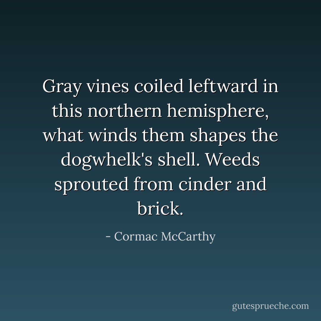 Gray vines coiled leftward in this northern hemisphere, what winds them shapes the dogwhelk's shell. Weeds sprouted from cinder and brick. - Cormac McCarthy