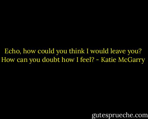 Echo, how could you think I would leave you? How can you doubt how I feel? - Katie McGarry