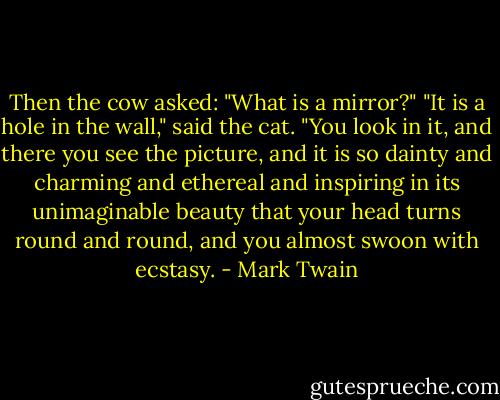 Then the cow asked:<br />"What is a mirror?"<br />"It is a hole in the wall," said the cat. "You look in it, and there you see the picture, and it is so dainty and charming and ethereal and inspiring in its unimaginable beauty that your head turns round and round, and you almost swoon with ecstasy. - Mark Twain