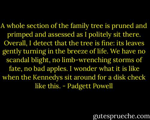 A whole section of the family tree is pruned and primped and assessed as I politely sit there. Overall, I detect that the tree is fine: its leaves gently turning in the breeze of life. We have no scandal blight, no limb-wrenching storms of fate, no bad apples. I wonder what it is like when the Kennedys sit around for a disk check like this. - Padgett Powell
