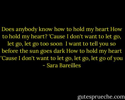Does anybody know how to hold my heart<br />How to hold my heart?<br />'Cause I don't want to let go, let go, let go too soon<br /><br />I want to tell you so before the sun goes dark<br />How to hold my heart<br />'Cause I don't want to let go, let go, let go of you - Sara Bareilles