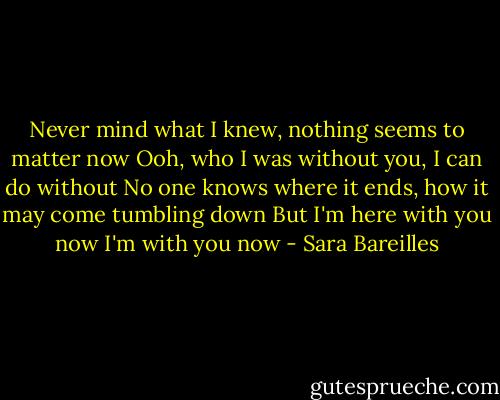 Never mind what I knew, nothing seems to matter now<br />Ooh, who I was without you, I can do without<br />No one knows where it ends, how it may come tumbling down<br />But I'm here with you now<br />I'm with you now - Sara Bareilles