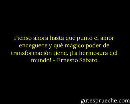 Pienso ahora hasta qué punto el amor enceguece y qué mágico poder de transformación tiene. ¡La hermosura del mundo! - Ernesto Sabato