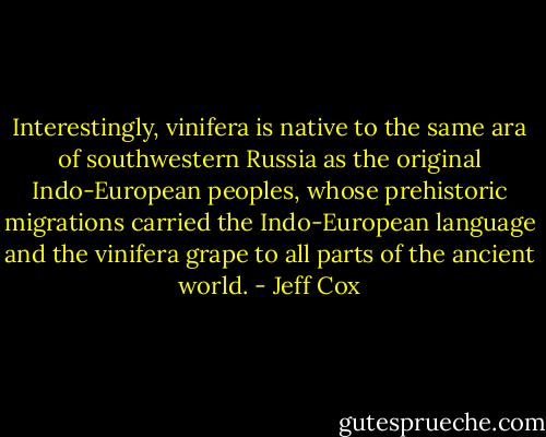 Interestingly, vinifera is native to the same ara of southwestern Russia as the original Indo-European peoples, whose prehistoric migrations carried the Indo-European language and the vinifera grape to all parts of the ancient world. - Jeff Cox