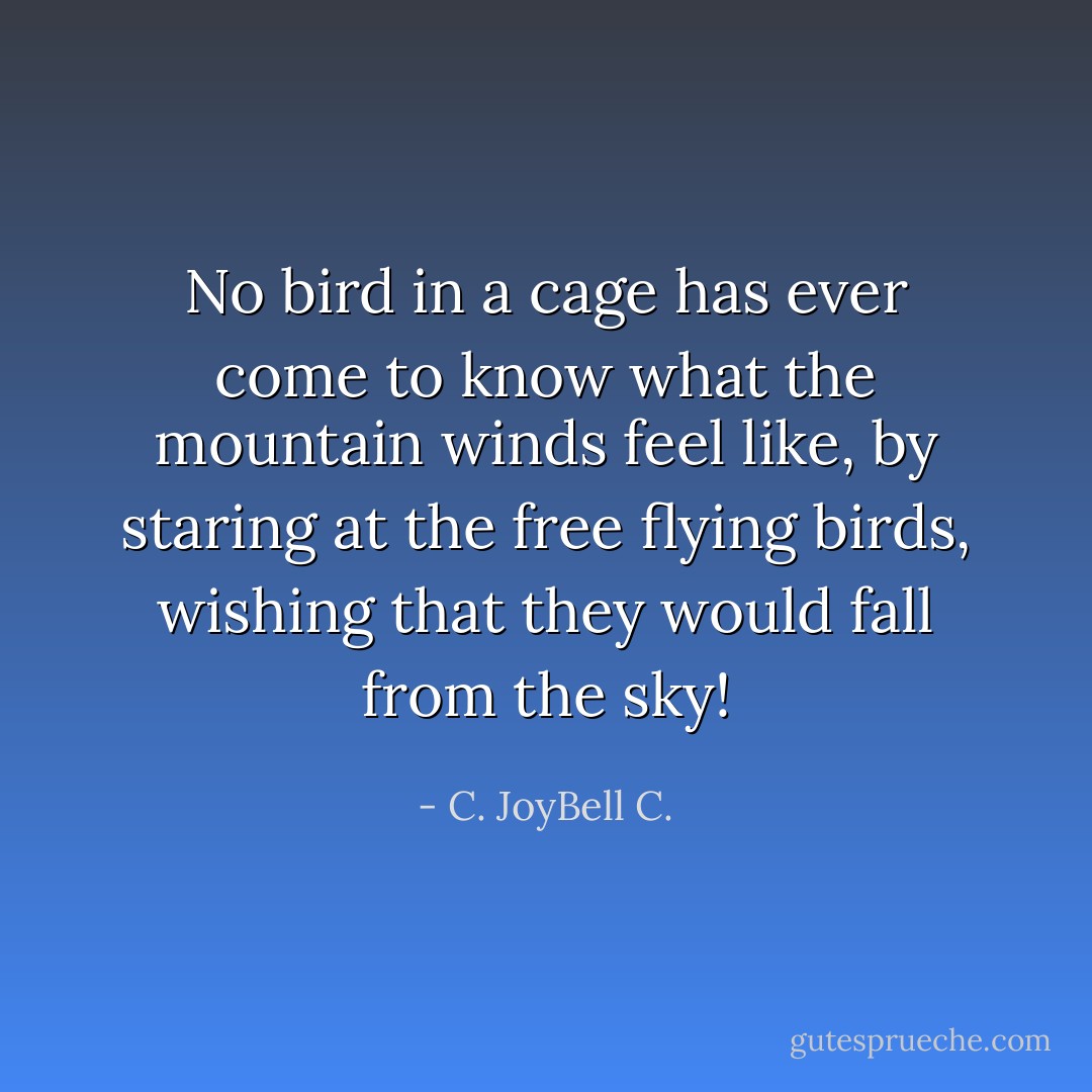 No bird in a cage has ever come to know what the mountain winds feel like, by staring at the free flying birds, wishing that they would fall from the sky! - C. JoyBell C.