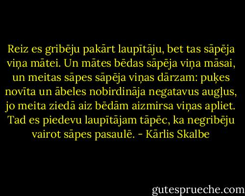 Reiz es gribēju pakārt laupītāju, bet tas sāpēja viņa mātei. Un mātes bēdas sāpēja viņa māsai, un meitas sāpes sāpēja viņas dārzam: puķes novīta un ābeles nobirdināja nega­tavus augļus, jo meita ziedā aiz bēdām aizmirsa viņas apliet. Tad es piedevu laupītājam tāpēc, ka negribēju vairot sāpes pasaulē. - Kārlis Skalbe