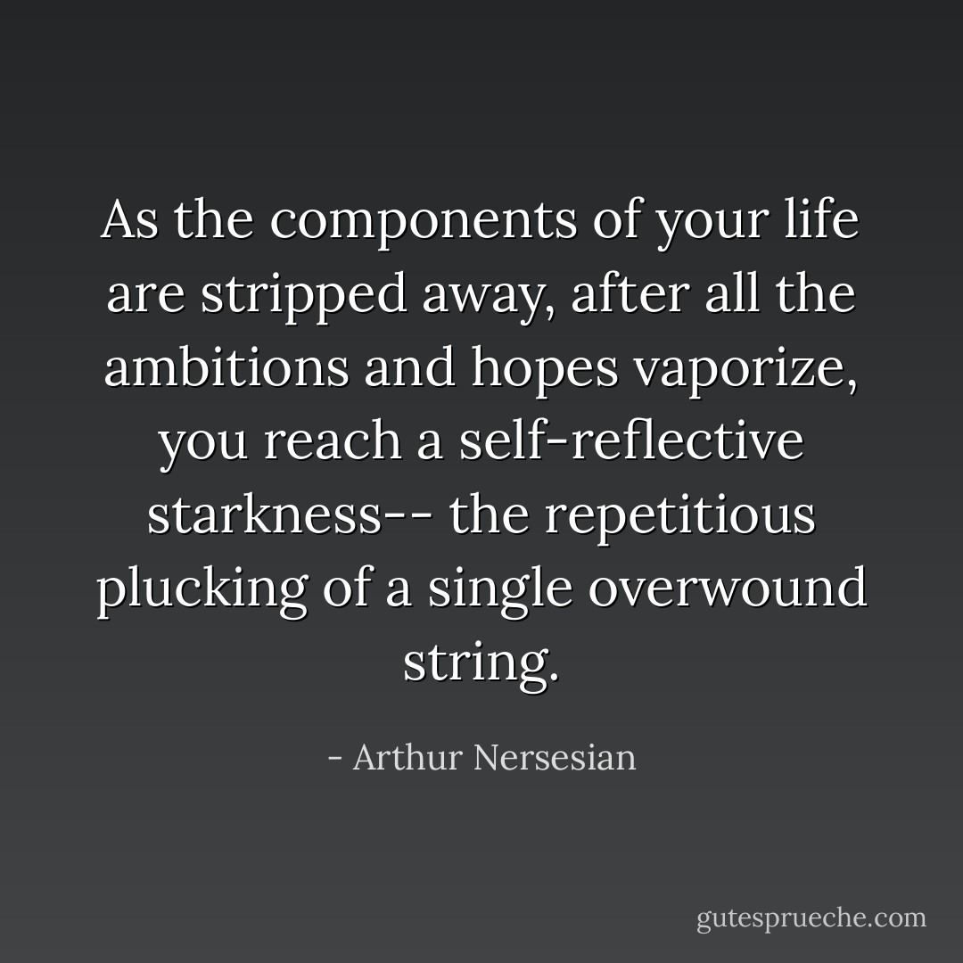 As the components of your life are stripped away, after all the ambitions and hopes vaporize, you reach a self-reflective starkness-- the repetitious plucking of a single overwound string. - Arthur Nersesian