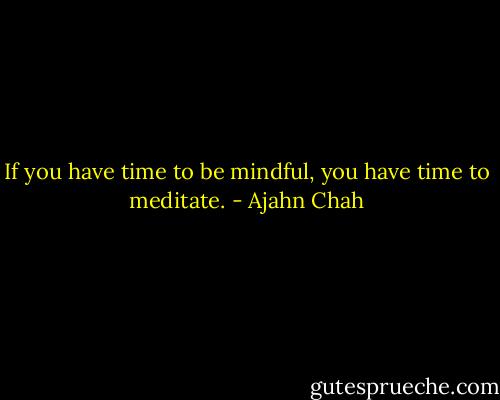 If you have time to be mindful, you have time to meditate. - Ajahn Chah