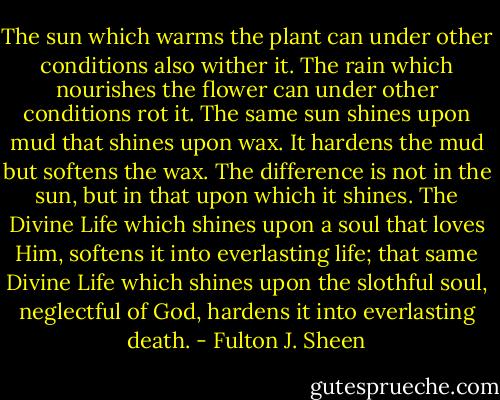 The sun which warms the plant can under other conditions also wither it. The rain which nourishes the flower can under other conditions rot it. The same sun shines upon mud that shines upon wax. It hardens the mud but softens the wax. The difference is not in the sun, but in that upon which it shines. The Divine Life which shines upon a soul that loves Him, softens it into everlasting life; that same Divine Life which shines upon the slothful soul, neglectful of God, hardens it into everlasting death. - Fulton J. Sheen