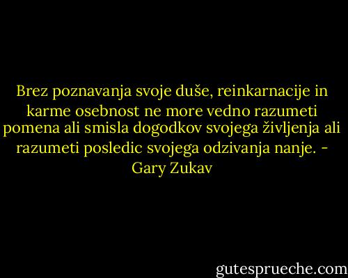 Brez poznavanja svoje duše, reinkarnacije in karme osebnost ne more vedno razumeti pomena ali smisla dogodkov svojega življenja ali razumeti posledic svojega odzivanja nanje. - Gary Zukav