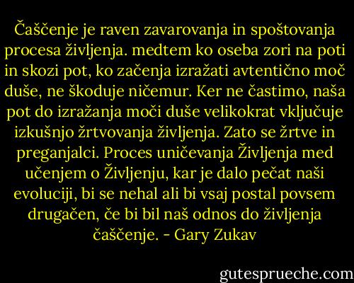 Čaščenje je raven zavarovanja in spoštovanja procesa življenja. medtem ko oseba zori na poti in skozi pot, ko začenja izražati avtentično moč duše, ne škoduje ničemur. Ker ne častimo, naša pot do izražanja moči duše velikokrat vključuje izkušnjo žrtvovanja življenja. Zato se žrtve in preganjalci. Proces uničevanja Življenja med učenjem o Življenju, kar je dalo pečat naši evoluciji, bi se nehal ali bi vsaj postal povsem drugačen, če bi bil naš odnos do življenja čaščenje. - Gary Zukav