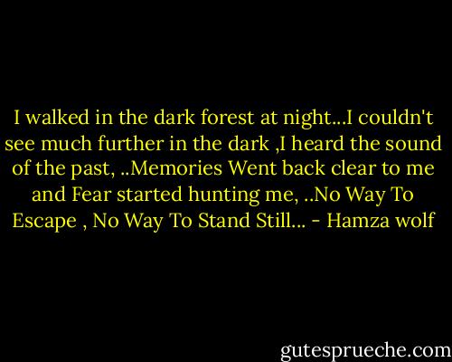 I walked in the dark forest at night...I couldn't see much further in the dark ,I heard the sound of the past, ..Memories Went back clear to me and Fear started hunting me, ..No Way To Escape , No Way To Stand Still... - Hamza wolf