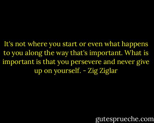 It's not where you start or even what happens to you along the way that's important. What is important is that you persevere and never give up on yourself. - Zig Ziglar
