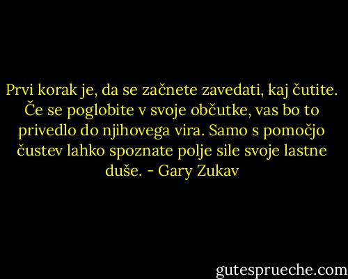 Prvi korak je, da se začnete zavedati, kaj čutite. Če se poglobite v svoje občutke, vas bo to privedlo do njihovega vira. Samo s pomočjo čustev lahko spoznate polje sile svoje lastne duše. - Gary Zukav