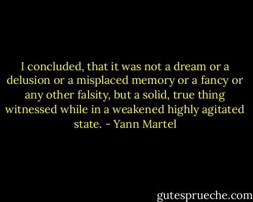 I concluded, that it was not a dream or a delusion or a misplaced memory or a fancy or any other falsity, but a solid, true thing witnessed while in a weakened highly agitated state. - Yann Martel