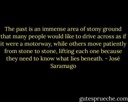 The past is an immense area of stony ground that many people would like to drive across as if it were a motorway, while others move patiently from stone to stone, lifting each one because they need to know what lies beneath. - José Saramago
