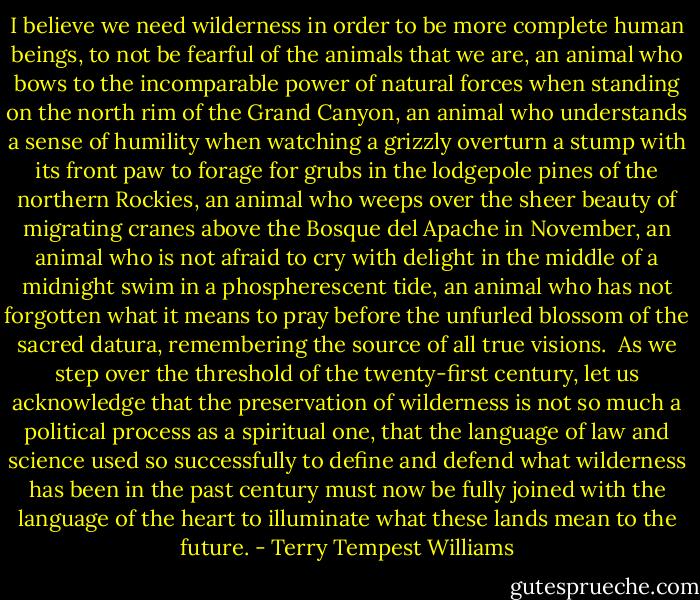 I believe we need wilderness in order to be more complete human beings, to not be fearful of the animals that we are, an animal who bows to the incomparable power of natural forces when standing on the north rim of the Grand Canyon, an animal who understands a sense of humility when watching a grizzly overturn a stump with its front paw to forage for grubs in the lodgepole pines of the northern Rockies, an animal who weeps over the sheer beauty of migrating cranes above the Bosque del Apache in November, an animal who is not afraid to cry with delight in the middle of a midnight swim in a phospherescent tide, an animal who has not forgotten what it means to pray before the unfurled blossom of the sacred datura, remembering the source of all true visions.<br /><br />As we step over the threshold of the twenty-first century, let us acknowledge that the preservation of wilderness is not so much a political process as a spiritual one, that the language of law and science used so successfully to define and defend what wilderness has been in the past century must now be fully joined with the language of the heart to illuminate what these lands mean to the future. - Terry Tempest Williams