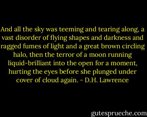 And all the sky was teeming and tearing along, a vast disorder of flying shapes and darkness and ragged fumes of light and a great brown circling halo, then the terror of a moon running liquid-brilliant into the open for a moment, hurting the eyes before she plunged under cover of cloud again. - D.H. Lawrence