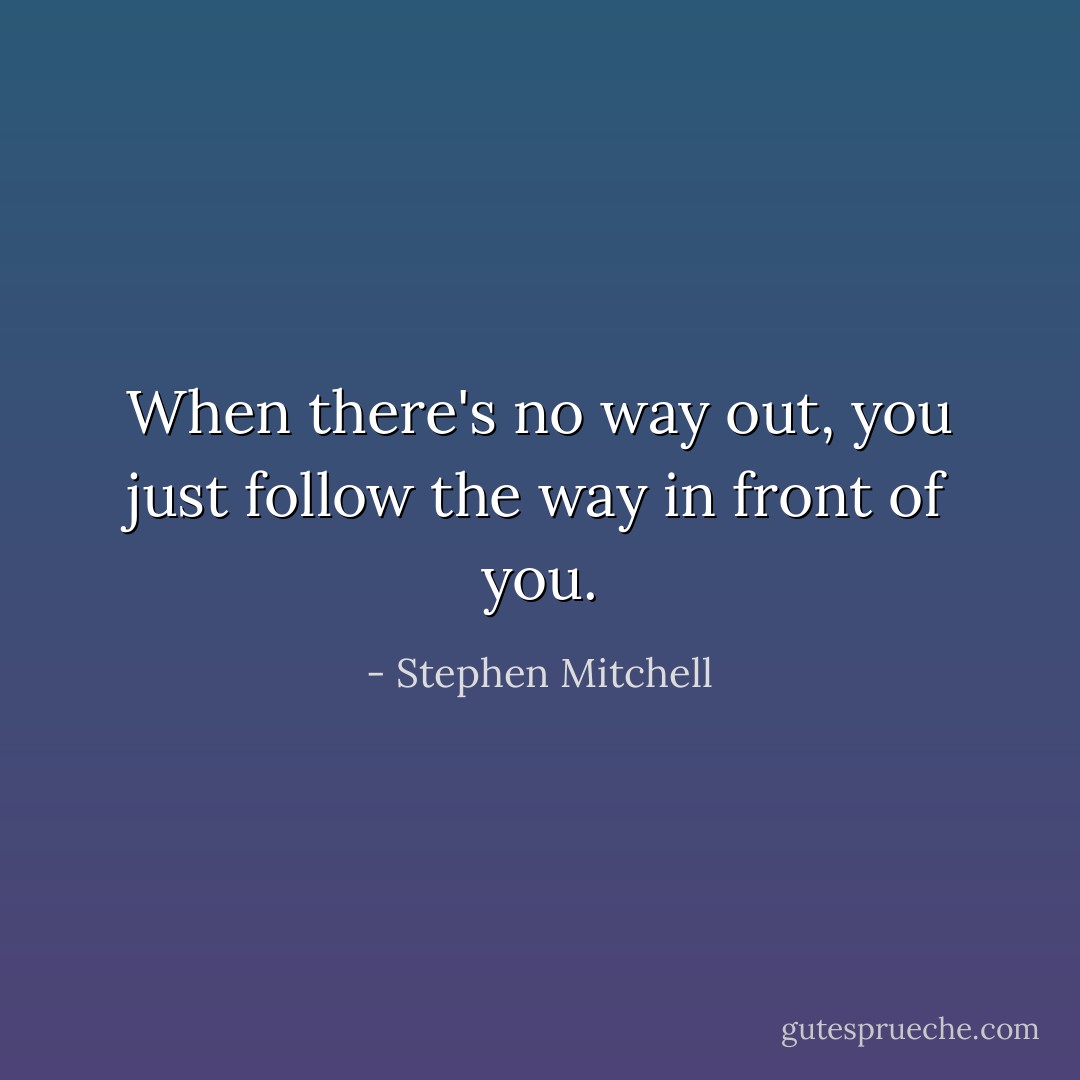 When there's no way out, you just follow the way in front of you. - Stephen Mitchell