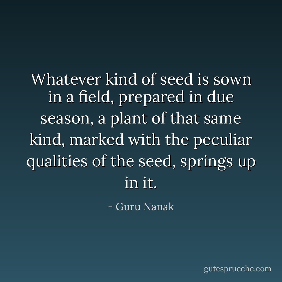 Whatever kind of seed is sown in a field, prepared in due season, a plant of that same kind, marked with the peculiar qualities of the seed, springs up in it. - Guru Nanak