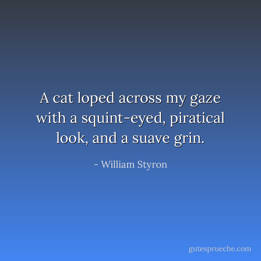 A cat loped across my gaze with a squint-eyed, piratical look, and a suave grin. - William Styron
