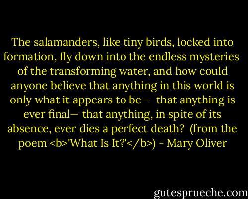 The salamanders,<br />like tiny birds, locked into formation,<br />fly down into the endless mysteries<br /><br />of the transforming water,<br />and how could anyone believe<br />that anything in this world<br />is only what it appears to be—<br /><br />that anything is ever final—<br />that anything, in spite of its absence,<br />ever dies<br />a perfect death?<br /><br />(from the poem <b>'What Is It?'</b>) - Mary Oliver