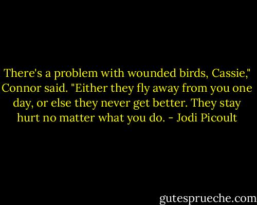 There's a problem with wounded birds, Cassie," Connor said. "Either they fly away from you one day, or else they never get better. They stay hurt no matter what you do. - Jodi Picoult