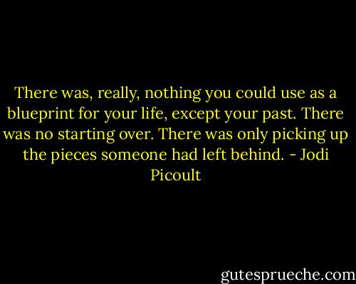 There was, really, nothing you could use as a blueprint for your life, except your past. There was no starting over. There was only picking up the pieces someone had left behind. - Jodi Picoult