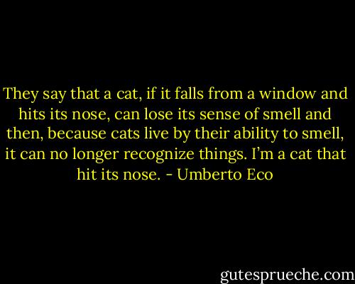 They say that a cat, if it falls from a window and<br />hits its nose, can lose its sense of smell and then, because cats live by<br />their ability to smell, it can no longer recognize things. I’m a cat that hit<br />its nose. - Umberto Eco