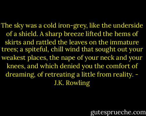The sky was a cold iron-grey, like the underside of a shield. A sharp breeze lifted the hems of skirts and rattled the leaves on the immature trees; a spiteful, chill wind that sought out your weakest places, the nape of your neck and your knees, and which denied you the comfort of dreaming, of retreating a little from reality. - J.K. Rowling