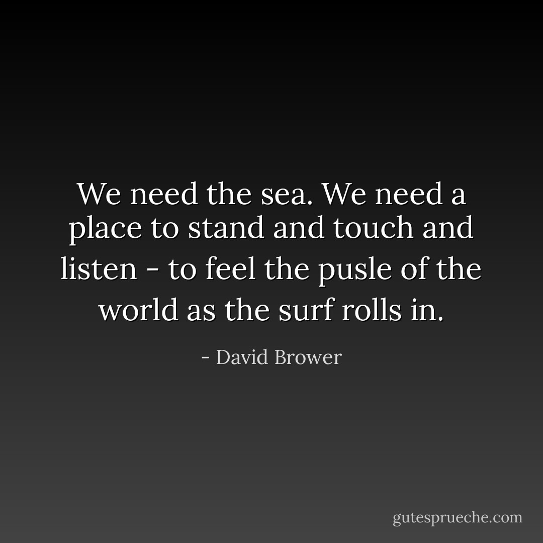We need the sea. We need a place to stand and touch and listen - to feel the pusle of the world as the surf rolls in. - David Brower