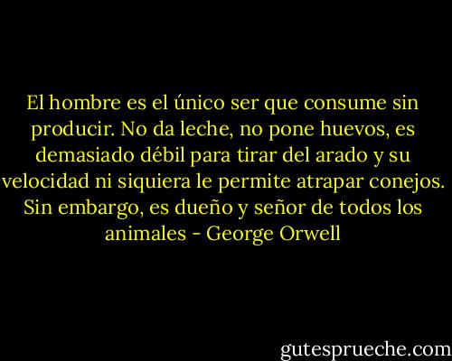 El hombre es el único ser que consume sin producir. No da leche, no pone huevos, es demasiado débil para tirar del arado y su velocidad ni siquiera le permite atrapar conejos. Sin embargo, es dueño y señor de todos los animales - George Orwell
