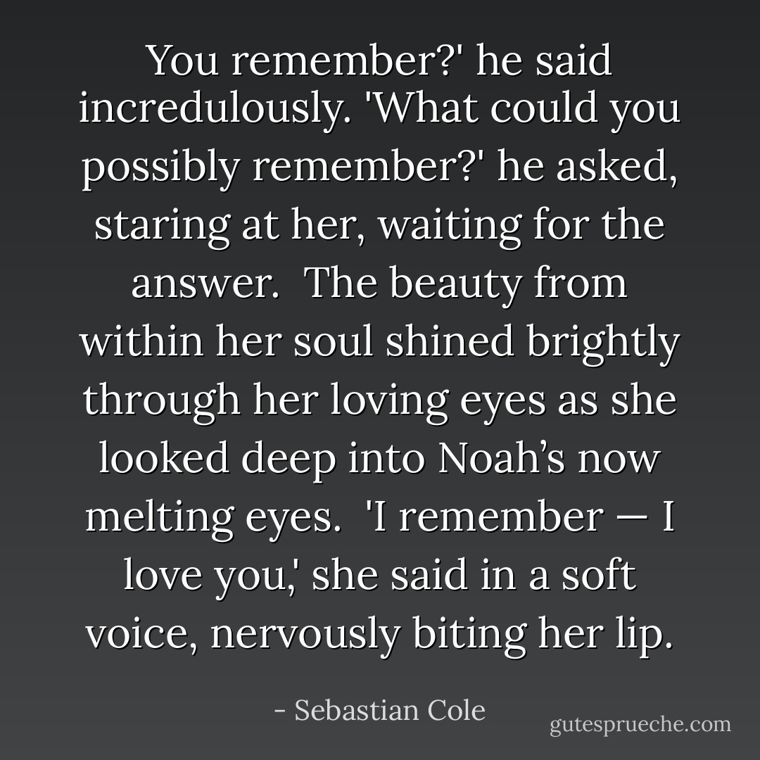 You remember?' he said incredulously. 'What could you possibly remember?' he asked, staring at her, waiting for the answer.<br /><br />The beauty from within her soul shined brightly through her loving eyes as she looked deep into Noah’s now melting eyes.<br /><br />'I remember — I love you,' she said in a soft voice, nervously biting her lip. - Sebastian Cole