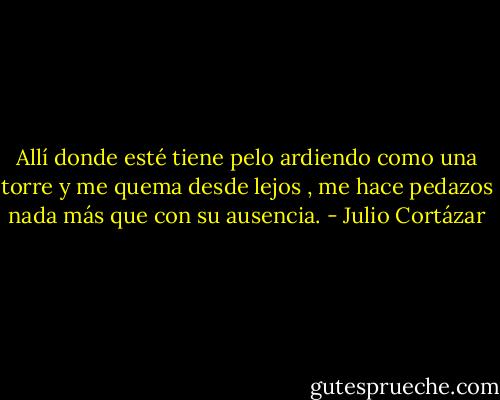 Allí donde esté tiene pelo ardiendo como una torre y me quema desde lejos , me hace pedazos nada más que con su ausencia. - Julio Cortázar